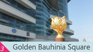 Golden Bauhinia Square